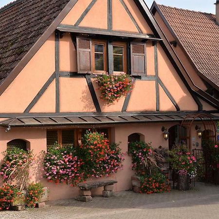 Gite Cote Jardin Fahrer Ackermann Appartement Rorschwihr Buitenkant foto