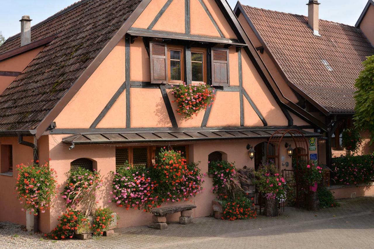 Gite Cote Jardin Fahrer Ackermann Appartement Rorschwihr Buitenkant foto